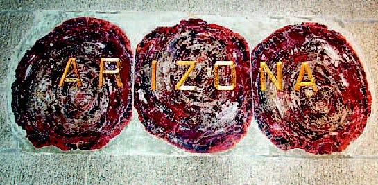 Most of the original gilding on the petrified-wood tablet from Arizona was still intact prior to renovation. This detail shot reveals the seamless combination of the original gilding from 1924 along with additional 23.75-KT gold leaf and toning applied by the Gilders’ Studio.